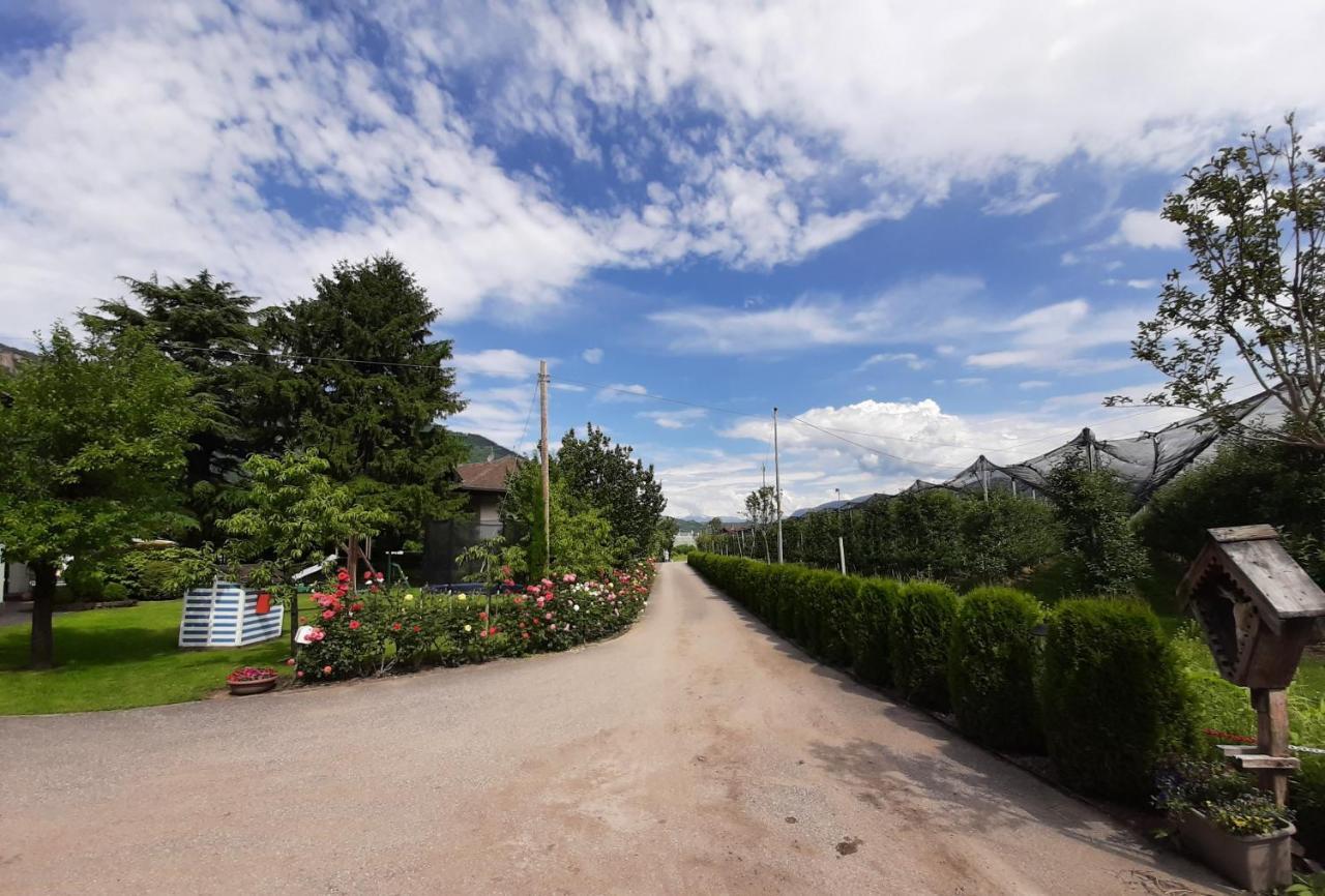 Hirschenhof Apartment ไลเวส ภายนอก รูปภาพ